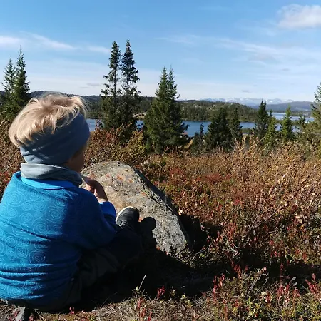 Отель Gronolen Fjellgard 3*